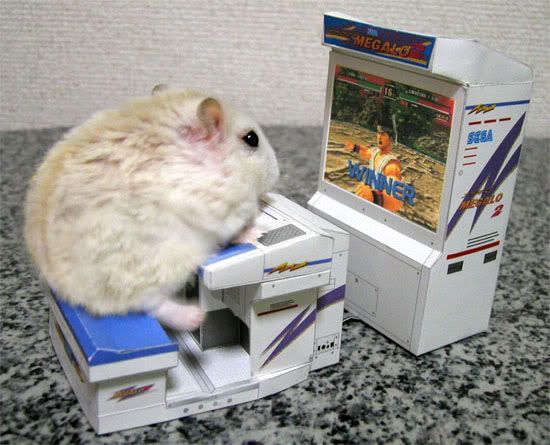 hammie.jpg