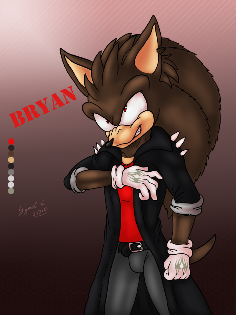 ryan_the_hedgehog_by_sonicshadowfan13.png