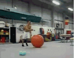 tumblr_l4oaukJYhl1qaairlo1_250.gif