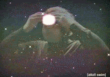 universe.gif