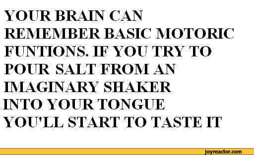funny-pictures-auto-812241.jpeg