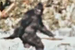 Bigfoot.jpg