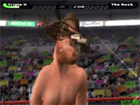 WWE1.gif