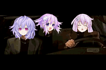 902.gif