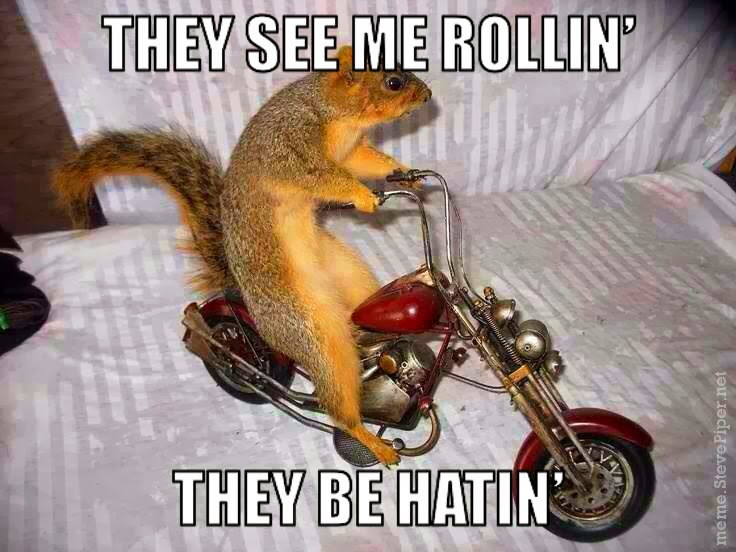 rollin-squirrel.jpg