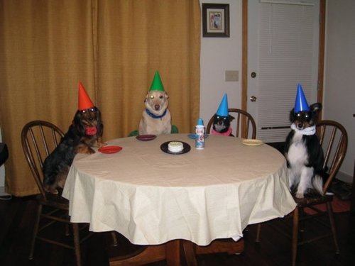 boring-party.jpg