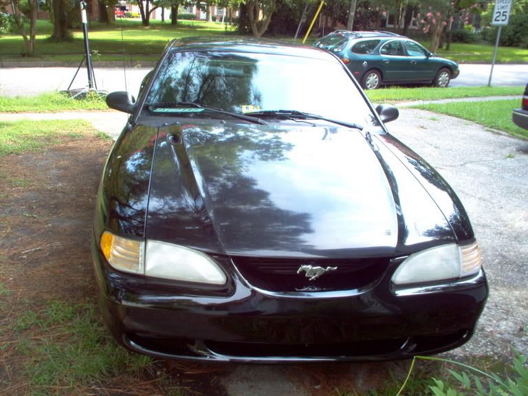 MyMustang001.jpg