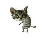 QLWKYLI.gif