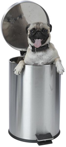 dog-in-trash.jpg