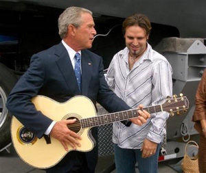 bush-guitar-725866.jpg