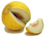melon_casaba.jpg