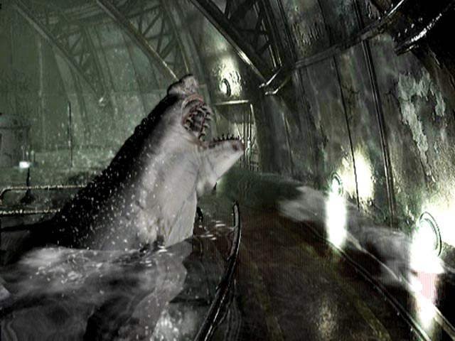 sharks001.jpg