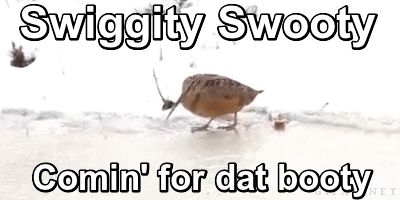 cPjlXMl.gif.gif
