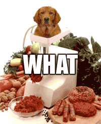 4msty5y.gif