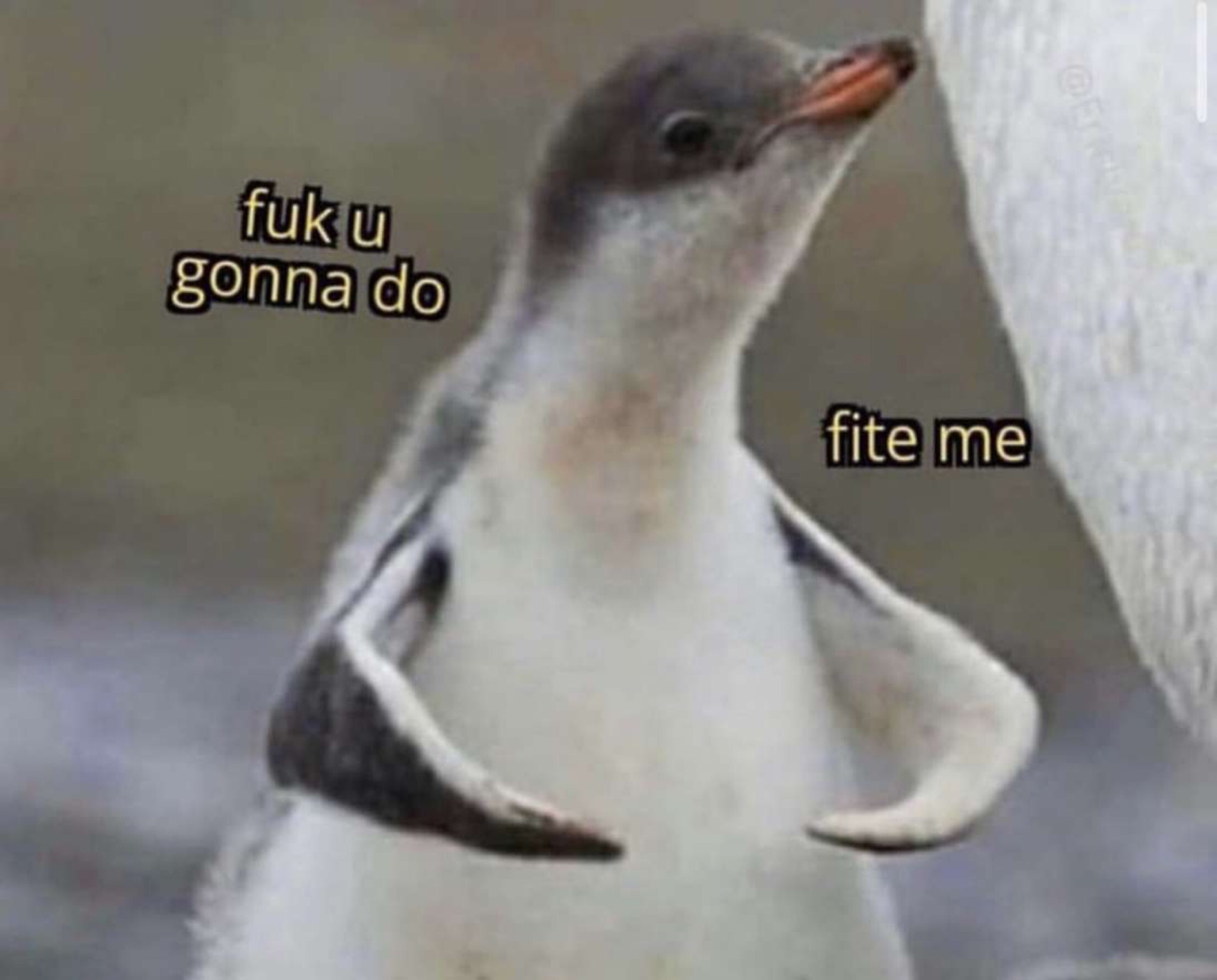 q4OmzWZ.jpg
