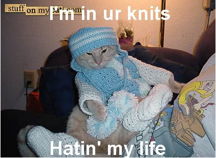 cat_knit.jpg