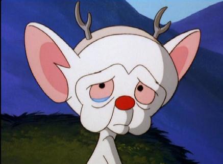 Brain-pinky-and-the-brain-241790_437_322.jpg
