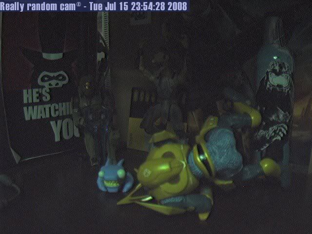 Webcam8.jpg