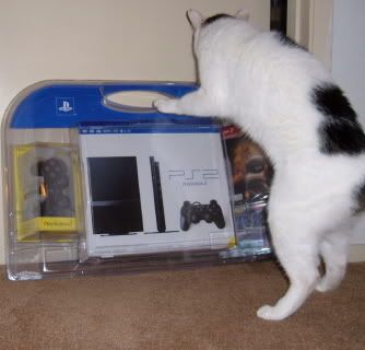 ps2cat.jpg