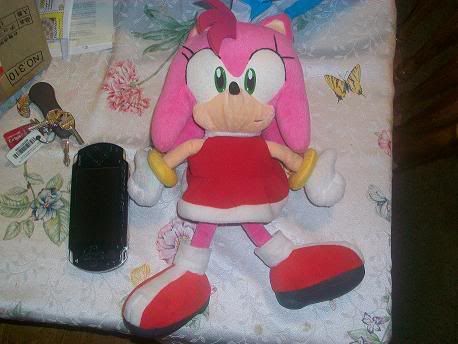 SA1Amy.jpg