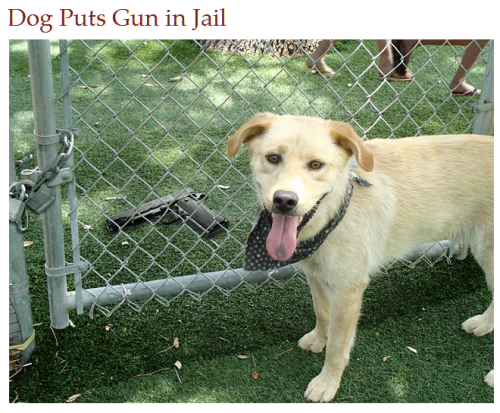 tumblr_lfptp07Dnw1qdfs7qo1_500.png