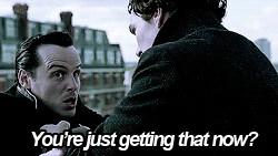 tumblr_lz2yft7IU61qcf27go8_r1_250.gif