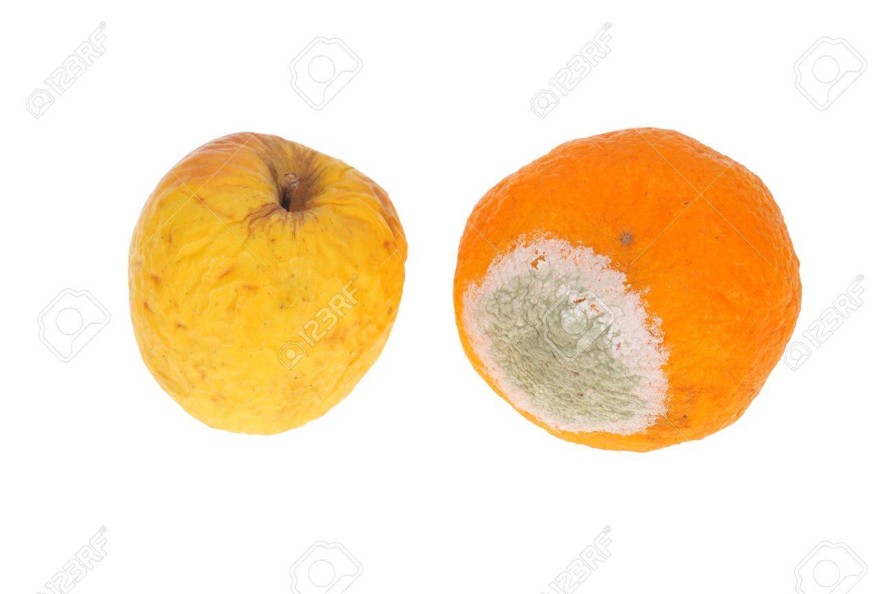 9057672-Rotten-Fruits-Apple-And-Orange-Stock-Photo.jpg