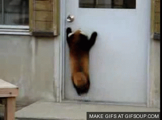 zgH1aKY.gif