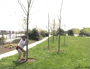 tumblr_n2yldaOKsR1t024ryo2_400.gif