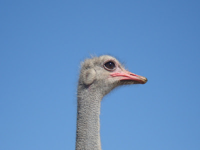 random+shots+016.jpg