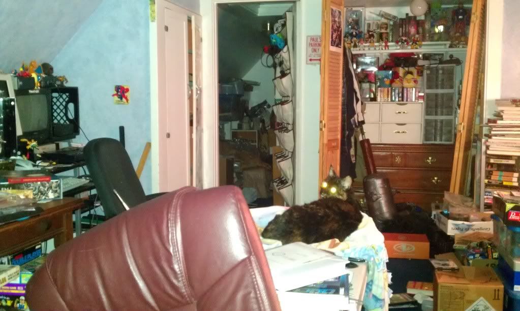 IMAG0219.jpg