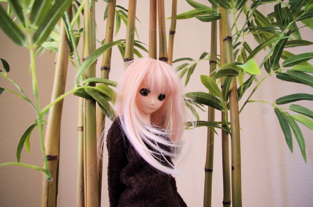 Airy_bamboo3.jpg