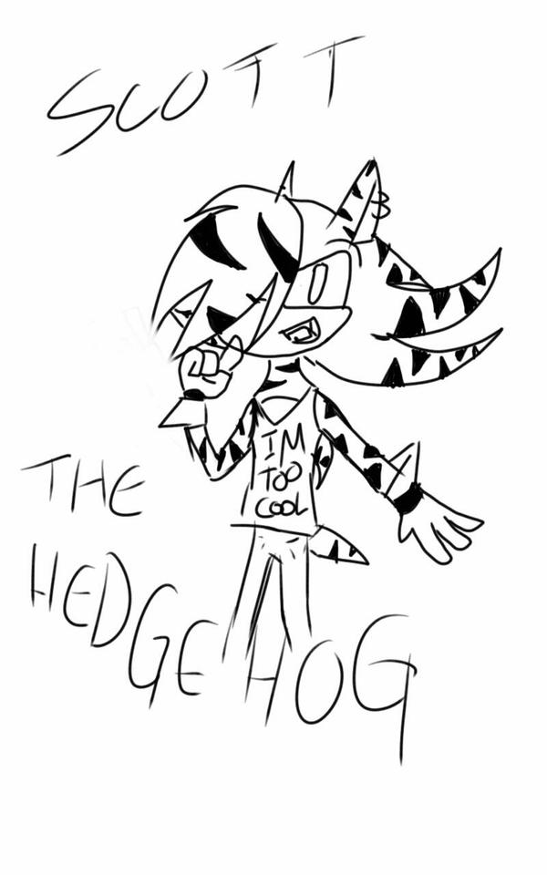 scott_the_hedgehog_by_tasyathehedgehog-d8c3ik9.jpg