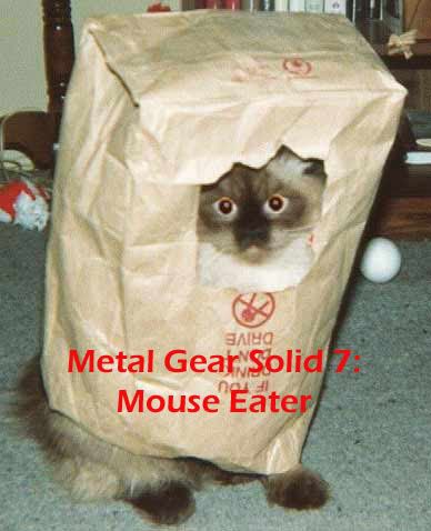catbag.jpg