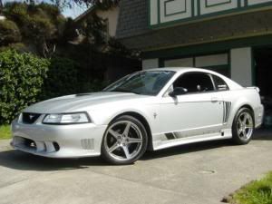 saleensmall.jpg
