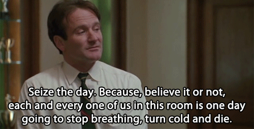 tumblr_mx7fq7SQG21r12qv7o1_500.gif