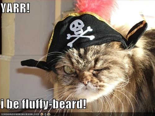 Pirate_Cat.jpg