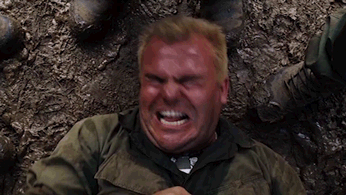 WMp4vh5.gif
