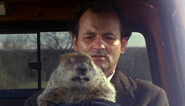 billmurray-groundhog.jpg