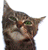 C9hDUi1.gif