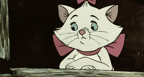tumblr_mt41y1RJxJ1sgl0ajo1_500.gif
