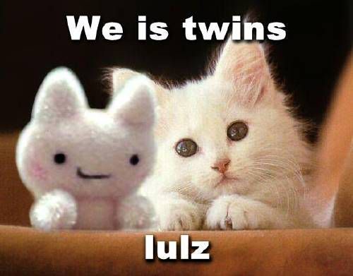 we-is-twins-lulz.jpg