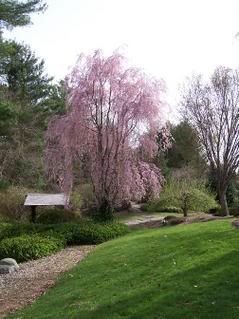 100_2122e.jpg