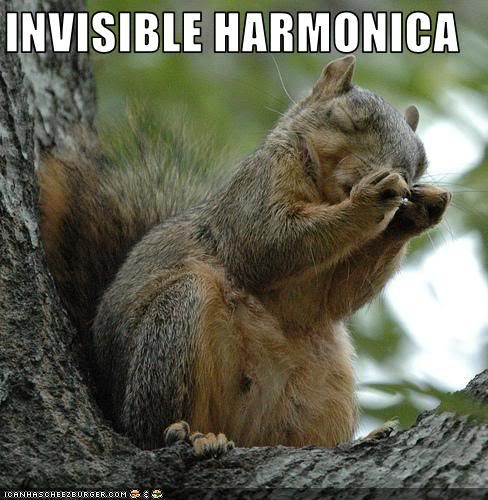 funny-pictures-squirrel-plays-invis.jpg