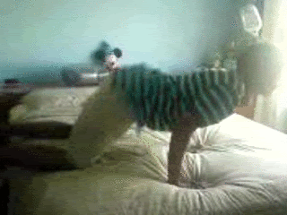 200804010238449583.gif