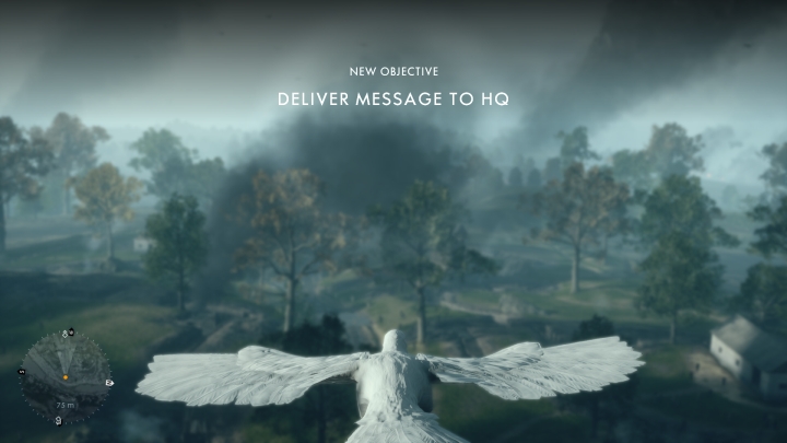 354139289.jpg