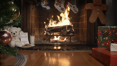 giphy.gif