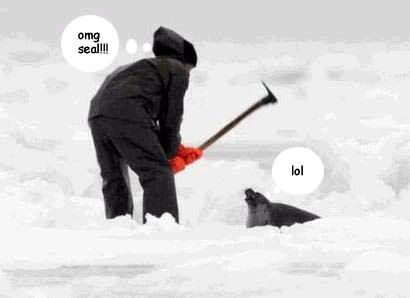seal.jpg
