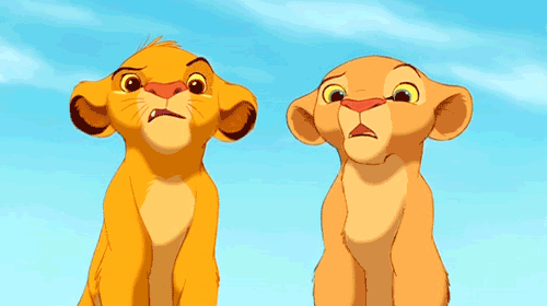 gif1-1.gif