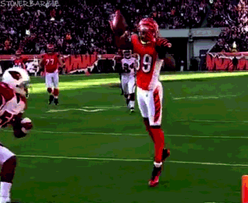tumblr_lx8qpxrY8e1qdz2yjo1_400.gif